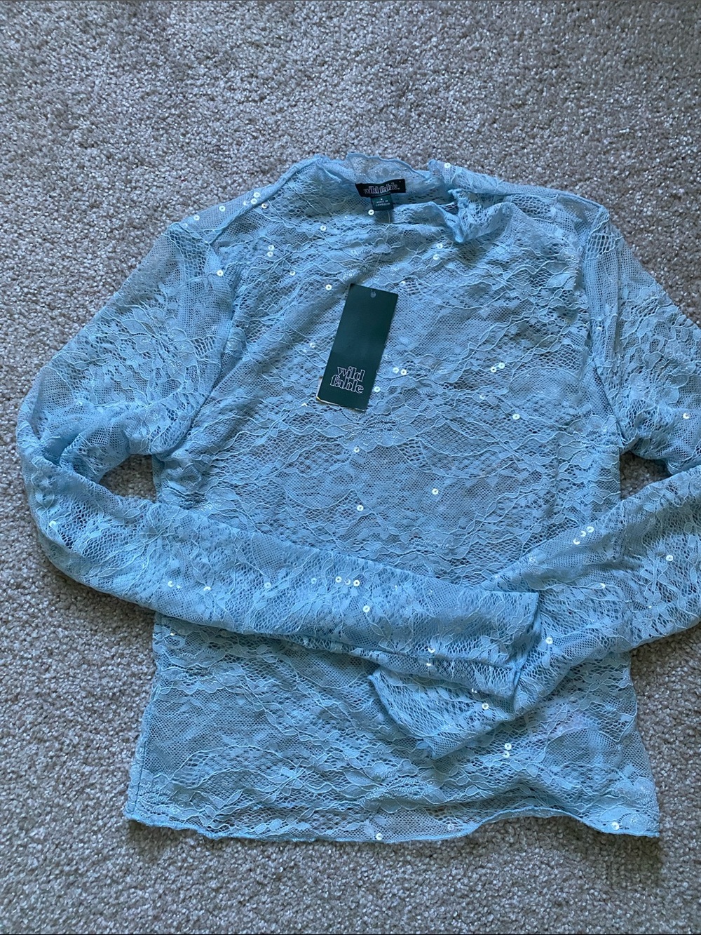 wild fable Light Blue Lace Sequin Long-Sleeve Top